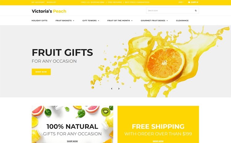 Shopify Template Design