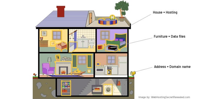 Web Hosting and Domain Name Explained
