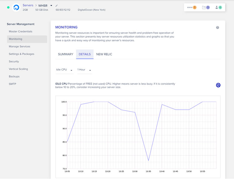 Server monitoring at Cloudways