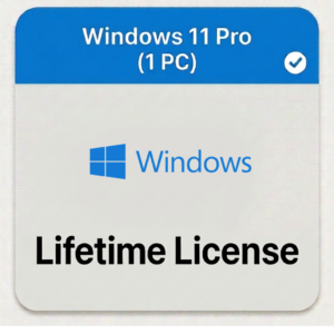 Windows 11 Pro (1 PC) — Lifetime License [Digital]