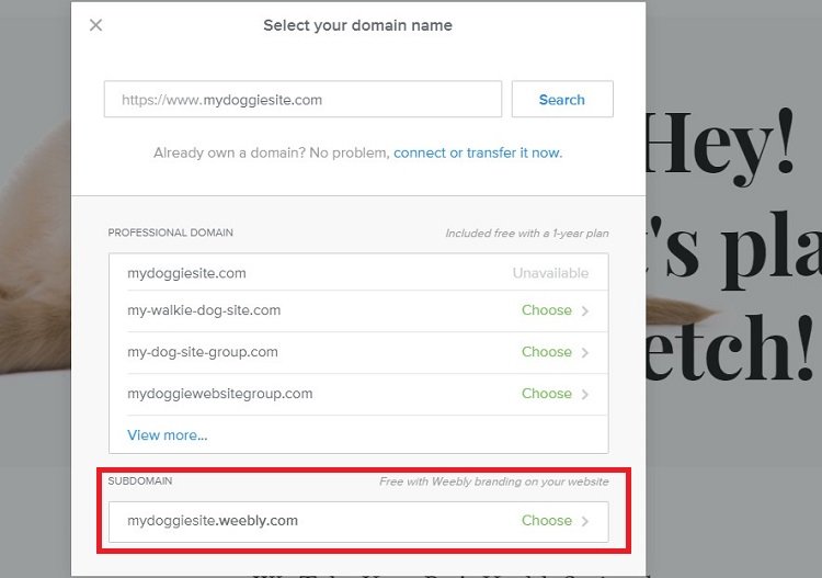 Select your domain name at Weebly