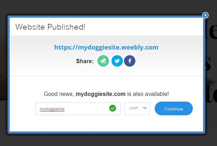 Screenshot of our published Weebly website