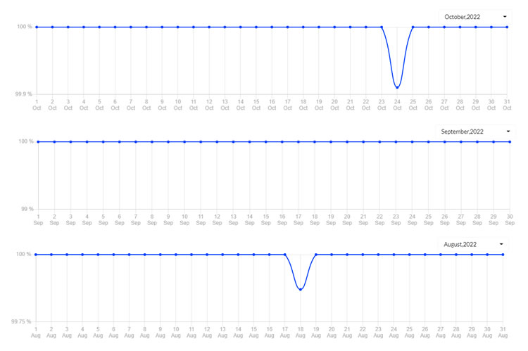 Kinsta Server Uptime