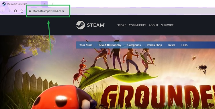 Steam is using a sudomain to operate its web store