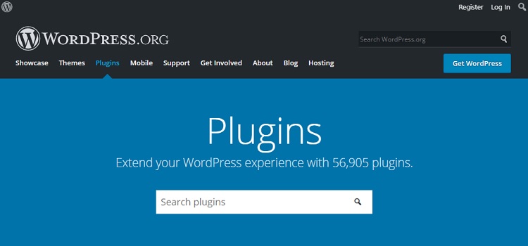 Cost of plugins and website functions development